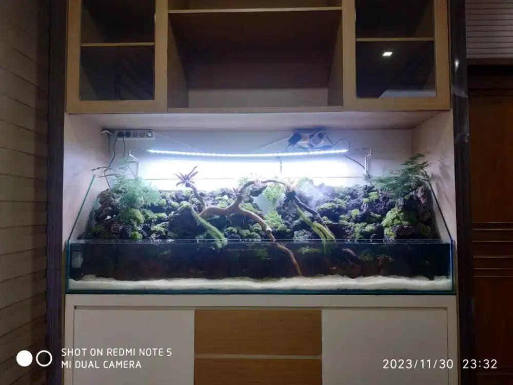 Pembuatan aquarium aquascape paludarium terrarium