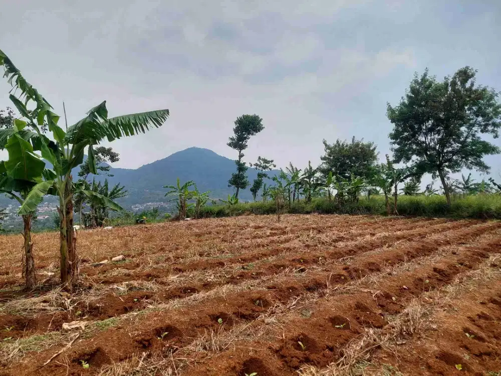 Tanah kavling jatinangor Akses mobil murah