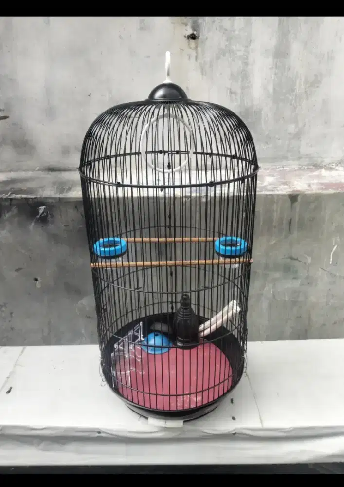Sangkar Lovebird LB NAVO SECOND GRESS