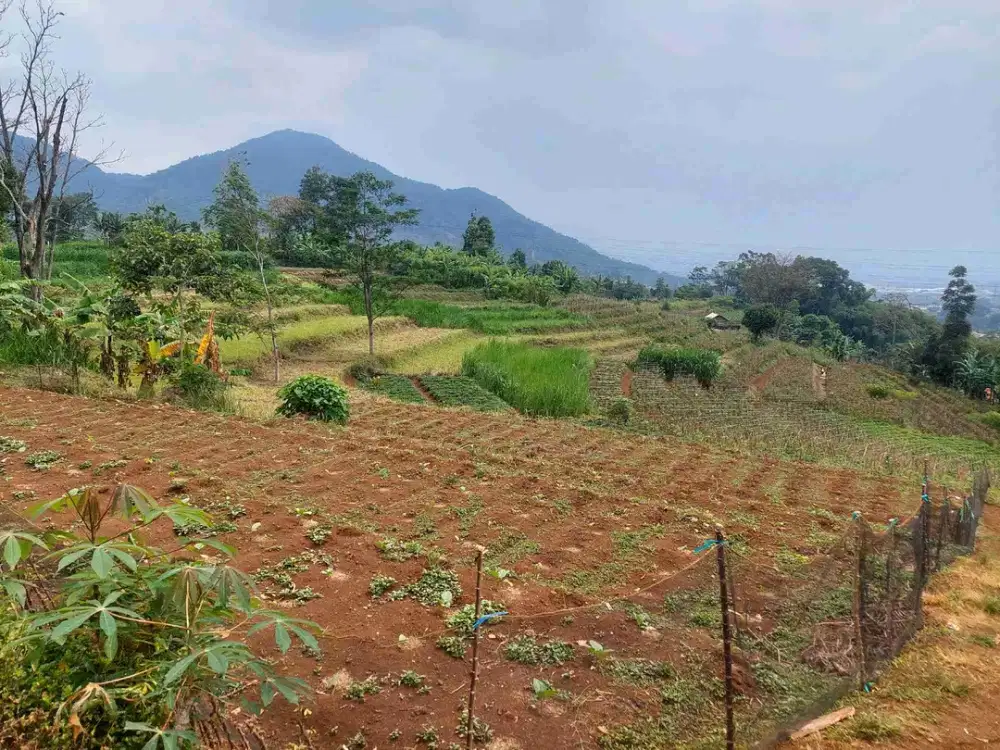 Tanah murah msk motor Cileles Jatinangor