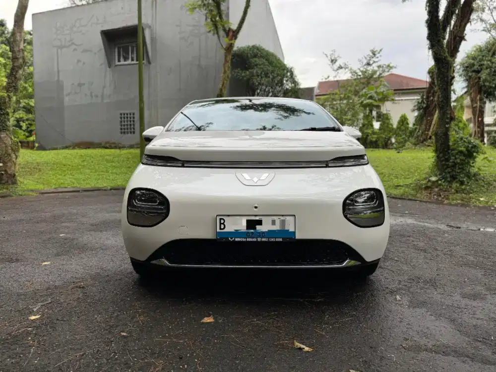 Wuling Binguo Pro 460