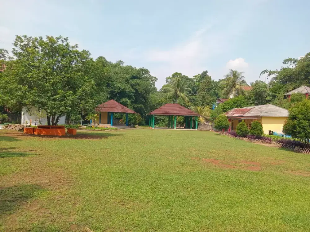 Bersedia jasa pemotongan rumput dan penebangan pohon