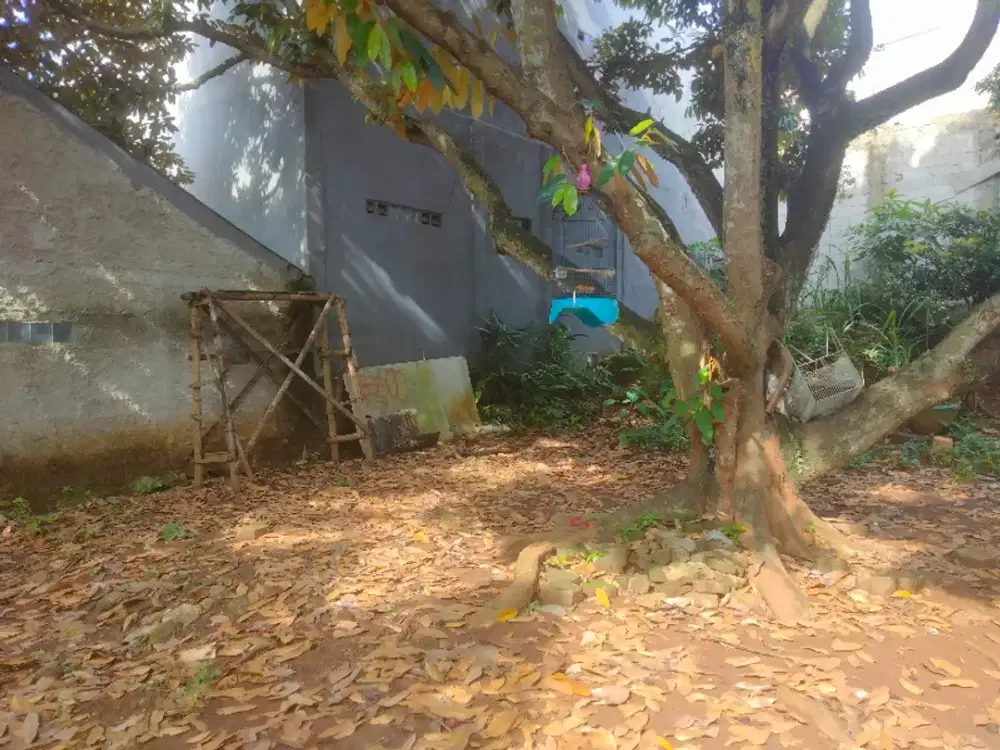 Jual Tanah shm 60m2 jl Mujahidin Meruyung limo