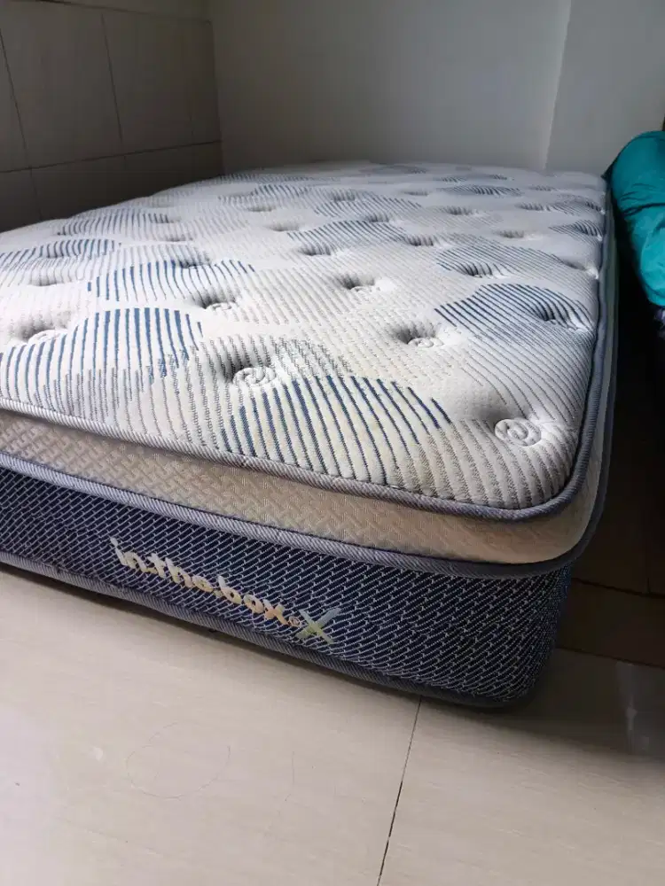 SpringBad in The Box 120*200