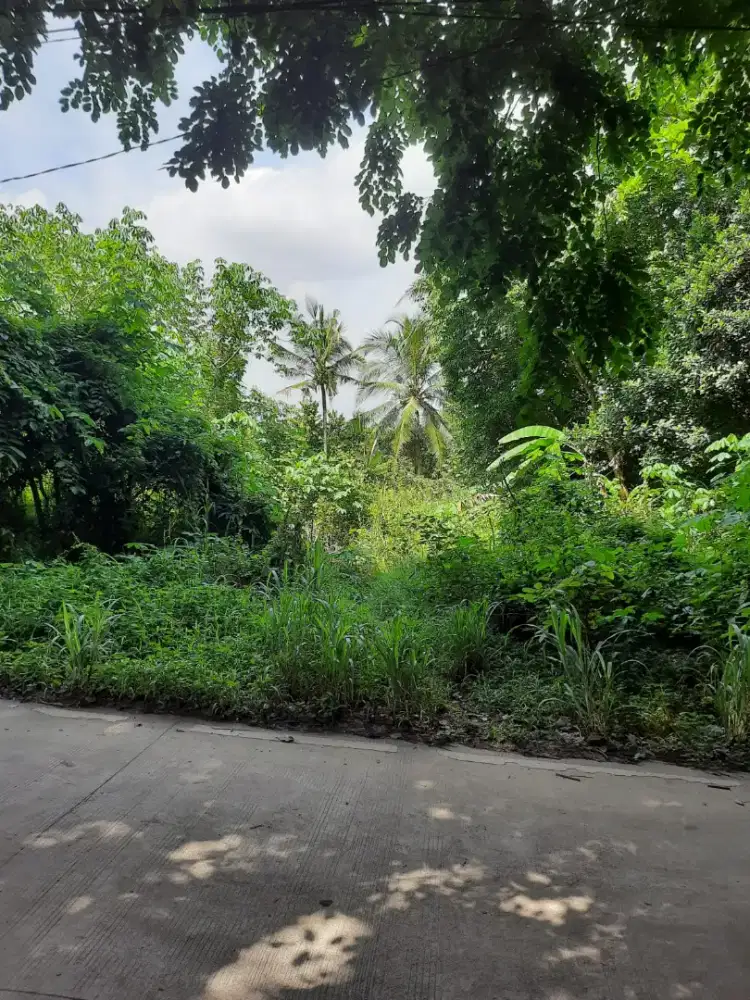 Dijual tanah 5000 meter