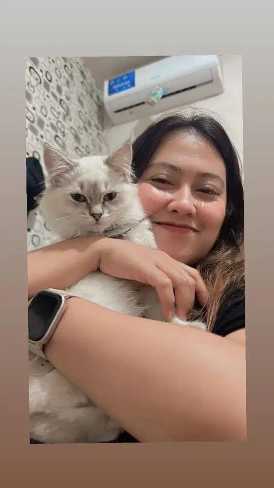 Mencari pekerjaan halal , freelance wilayah bandung kota ..