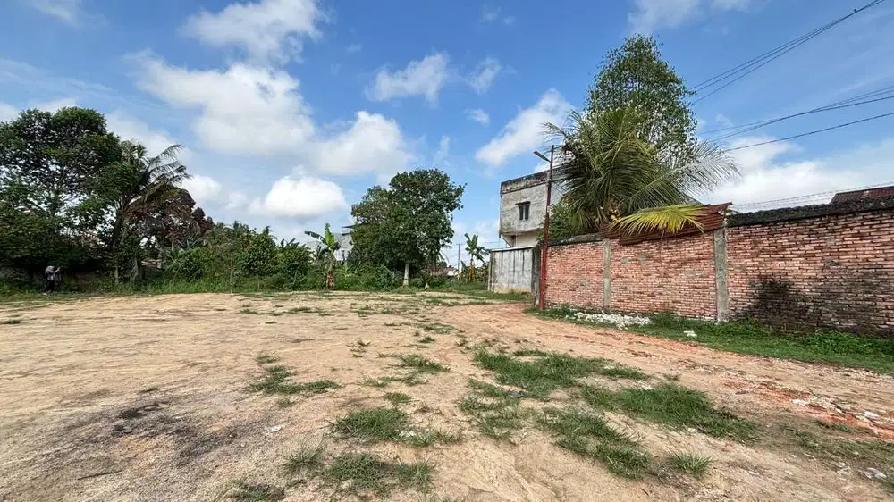 Jual Tanah Kebun Kopi Kota Jambi 130 m2