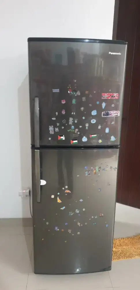 Kulkas Panasonic 2 Pintu