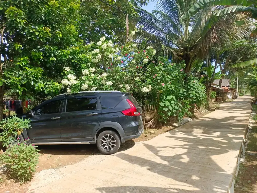 Jual Murah Tanah Kebun komplit dengan Aneka Pohon + Rumah + Kandang Permanen + Sumur di Kp. Parung Sapi - Jasinga KAB.BOGOR