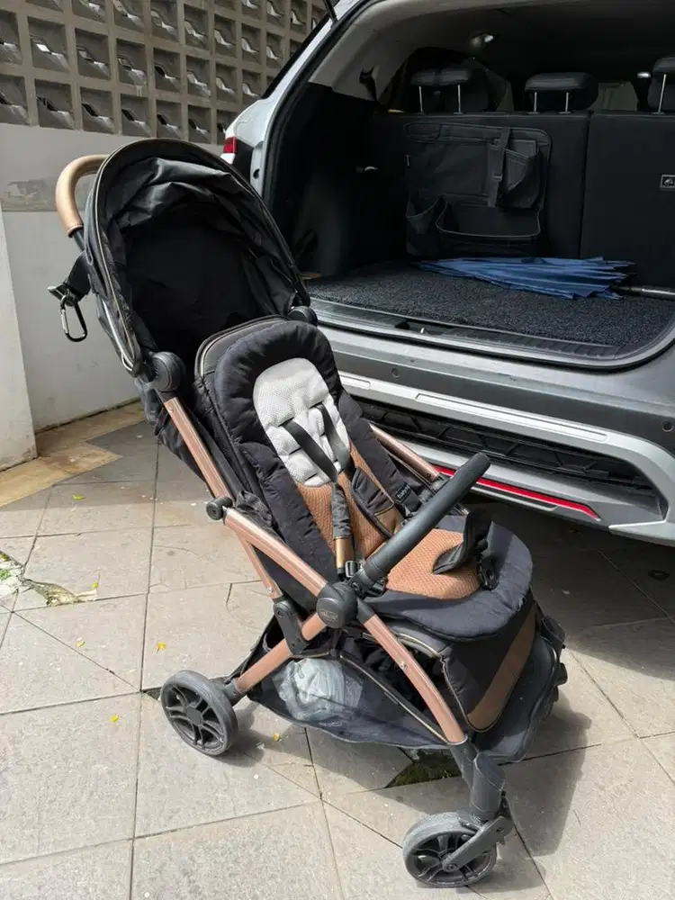 Chicco Goody Primo Stroller
