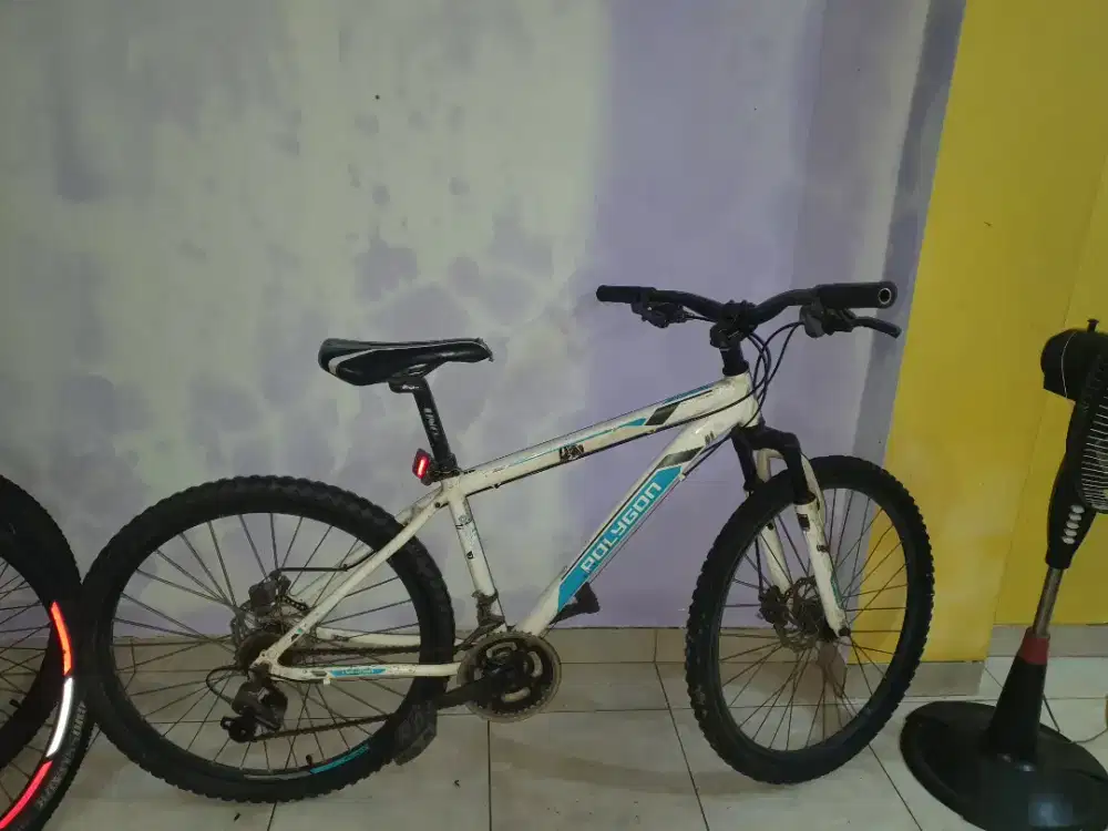 Sepeda Polygon Monarch