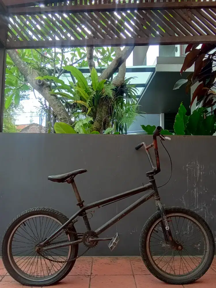 BMX Amoxay 11/djbikes Size 20