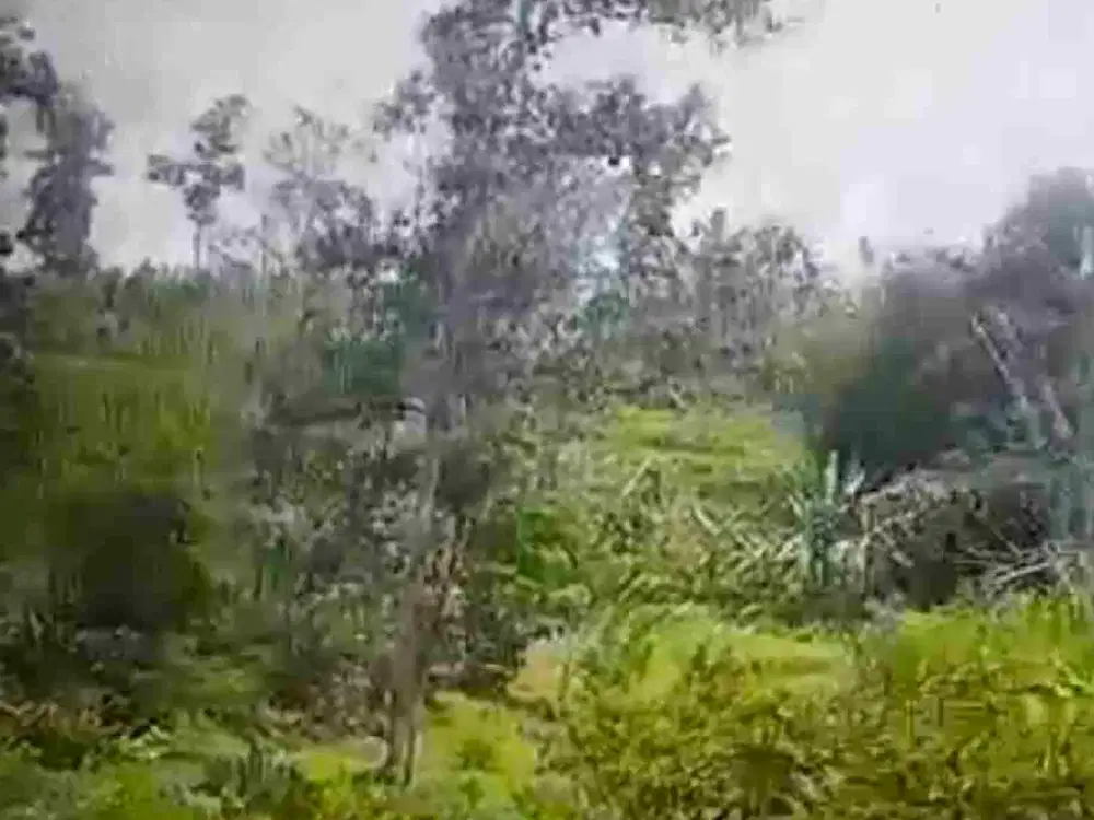 Tanah dan Bangunan Dijual