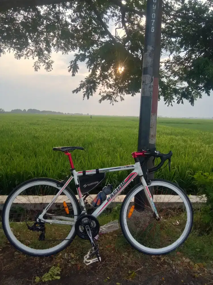 sepeda Pacific TRX2707 modif roadbike