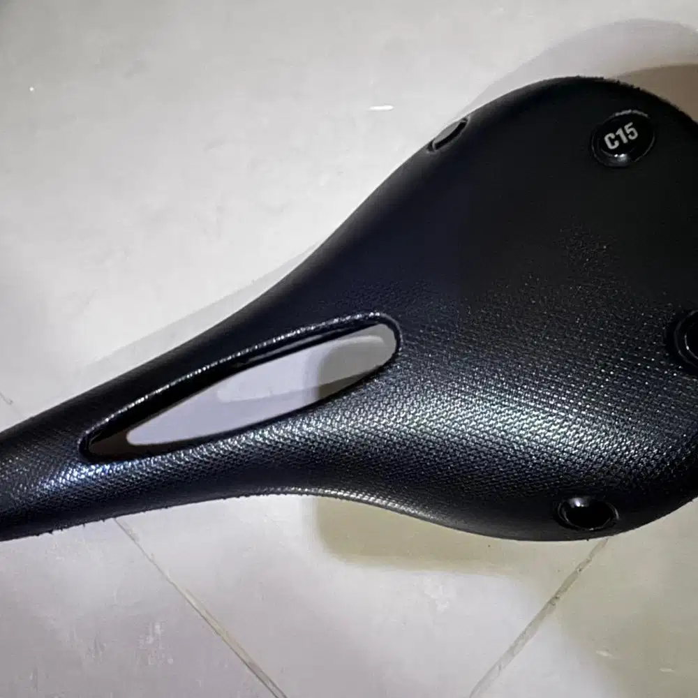 Brooks Cambium C15 Carved