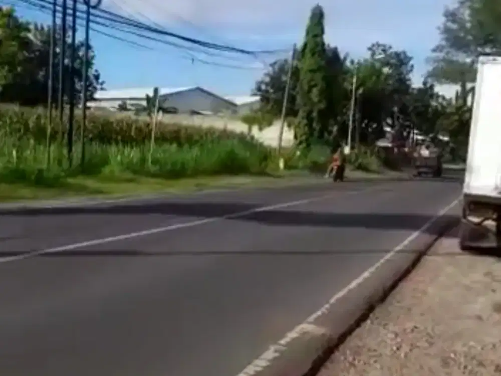 Tanah Raya Daendles Wedung Lamongan