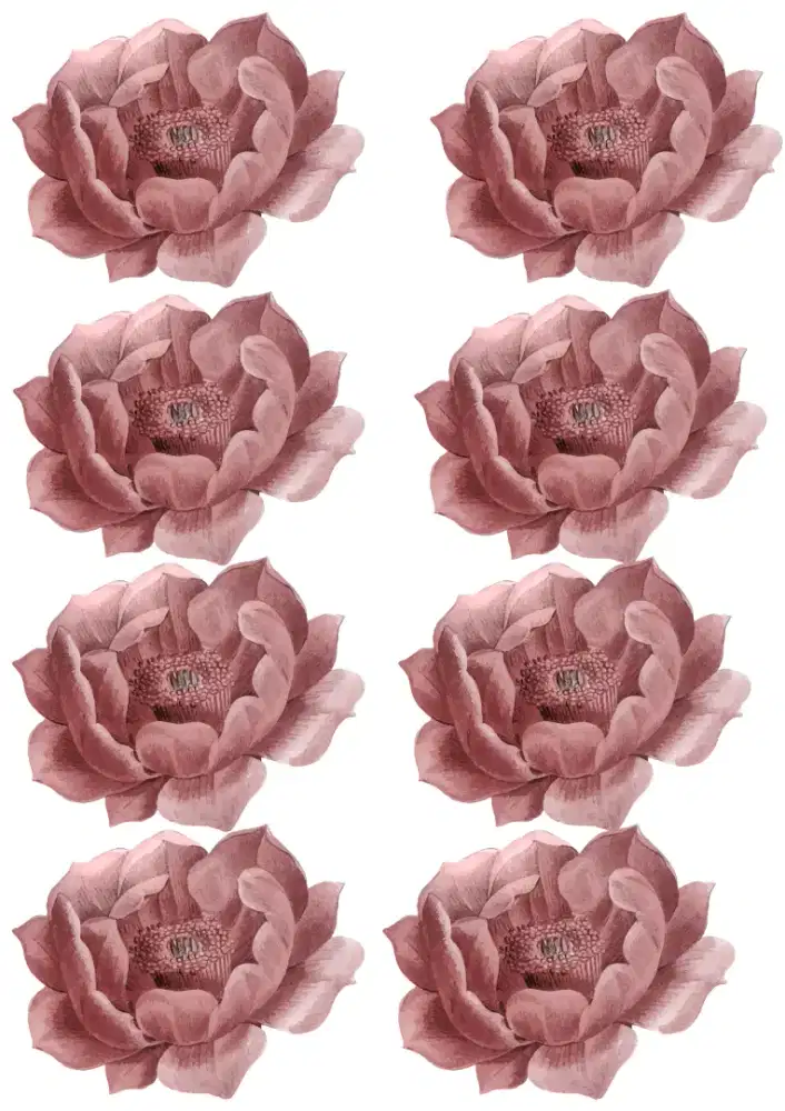 Dicari ART untuk wilayah Jogjakarta dalam ringroad