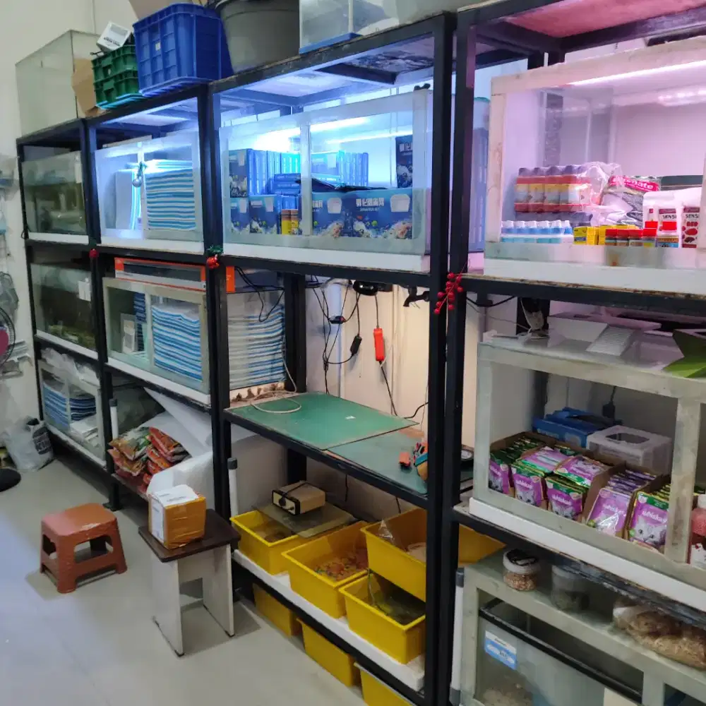 EDISI PENSIUN JUAL RAK+AKUARIUM BEKAS TOKO