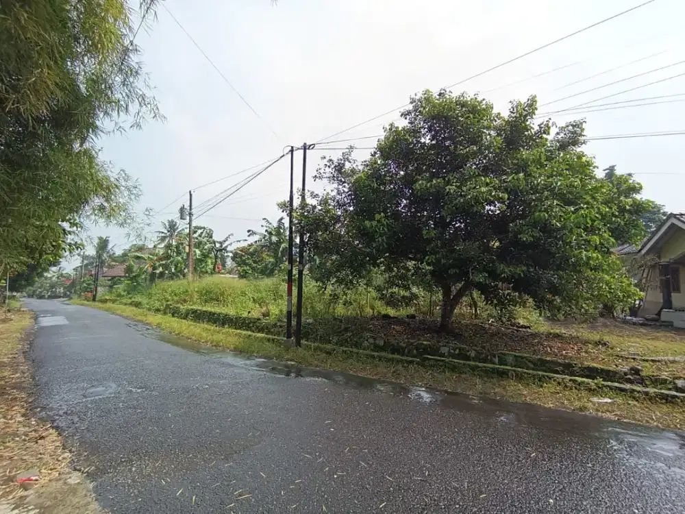 Kavling Tanah di Donoharjo Sleman Cocok Untuk Hunian Kleuarga Harga Bersahabat!