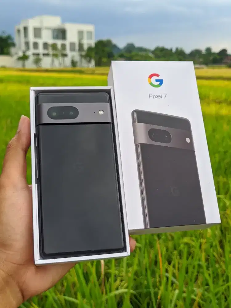 Google Pixel 7 8/128 GB