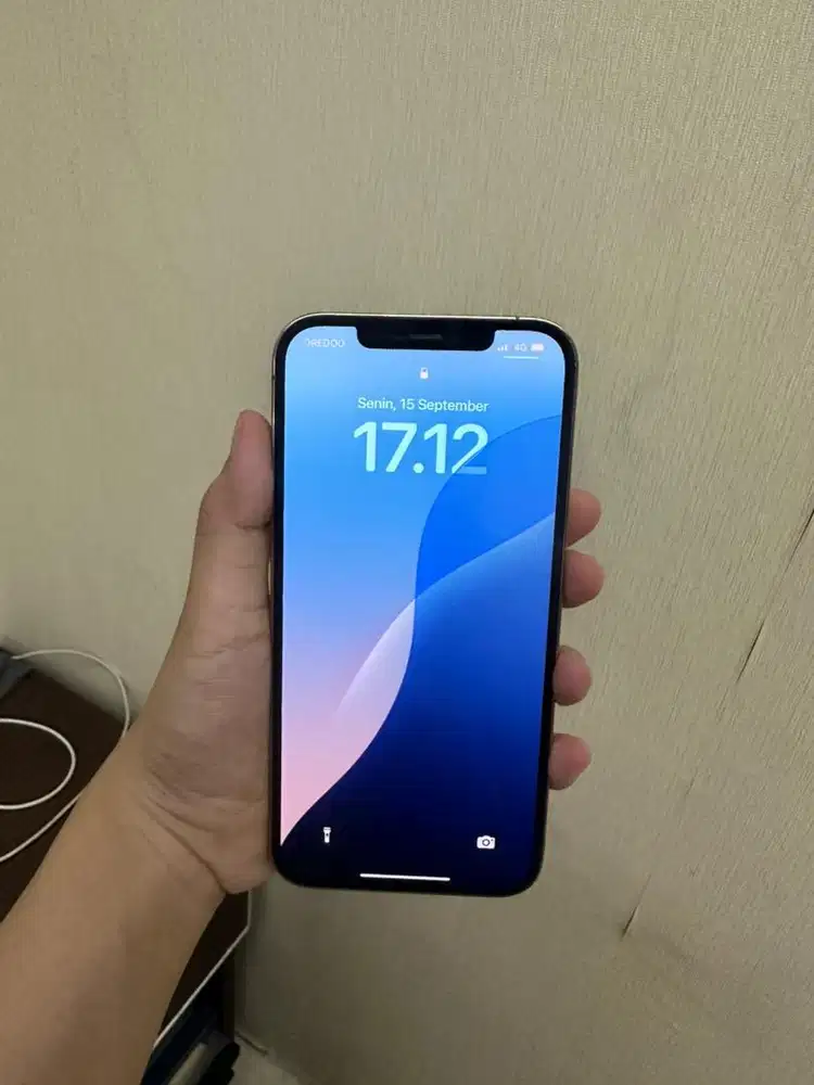 Iphone 12Promax 128gb All Operator