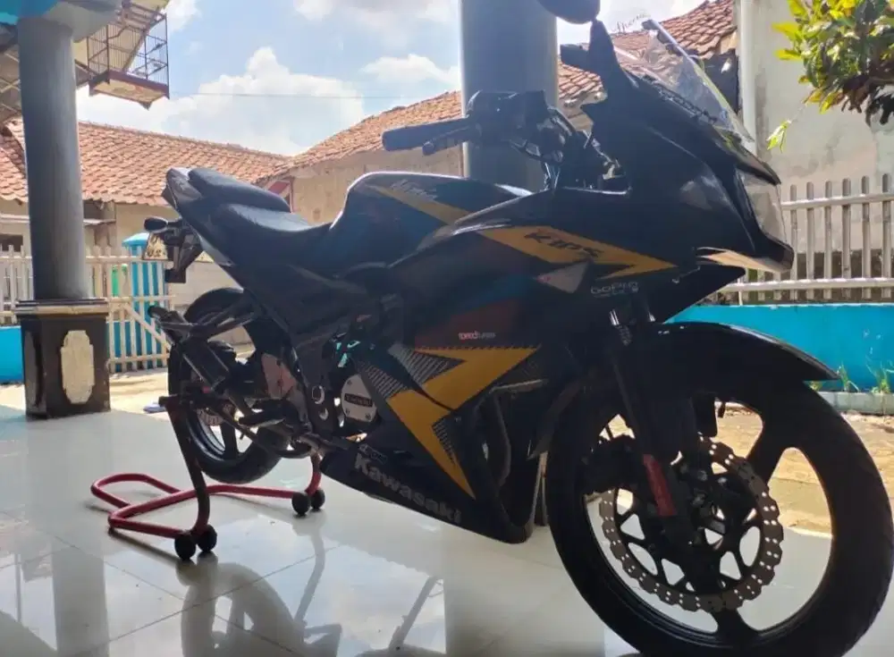 Ninja rr new  2014