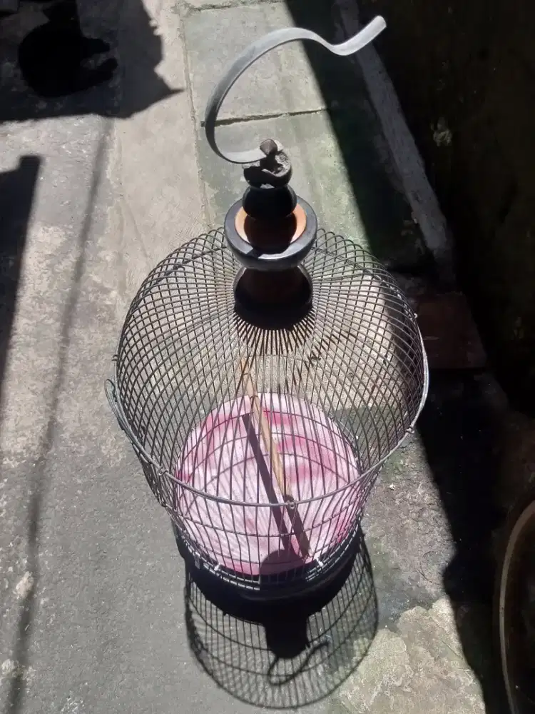kandang burung  Lovebird, Kenari dll