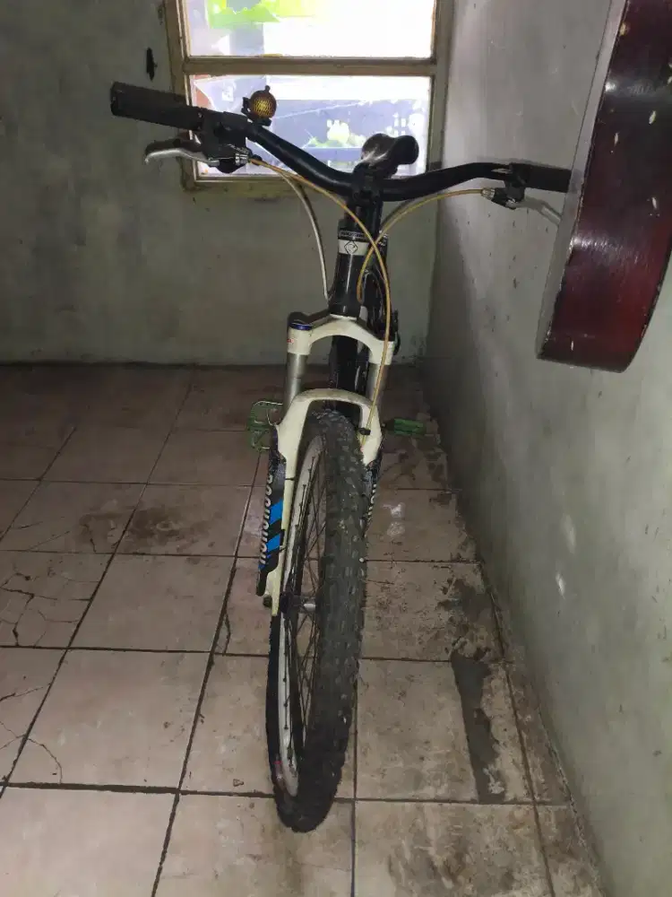 Sepedah gunung Polygon Xtrada 2013