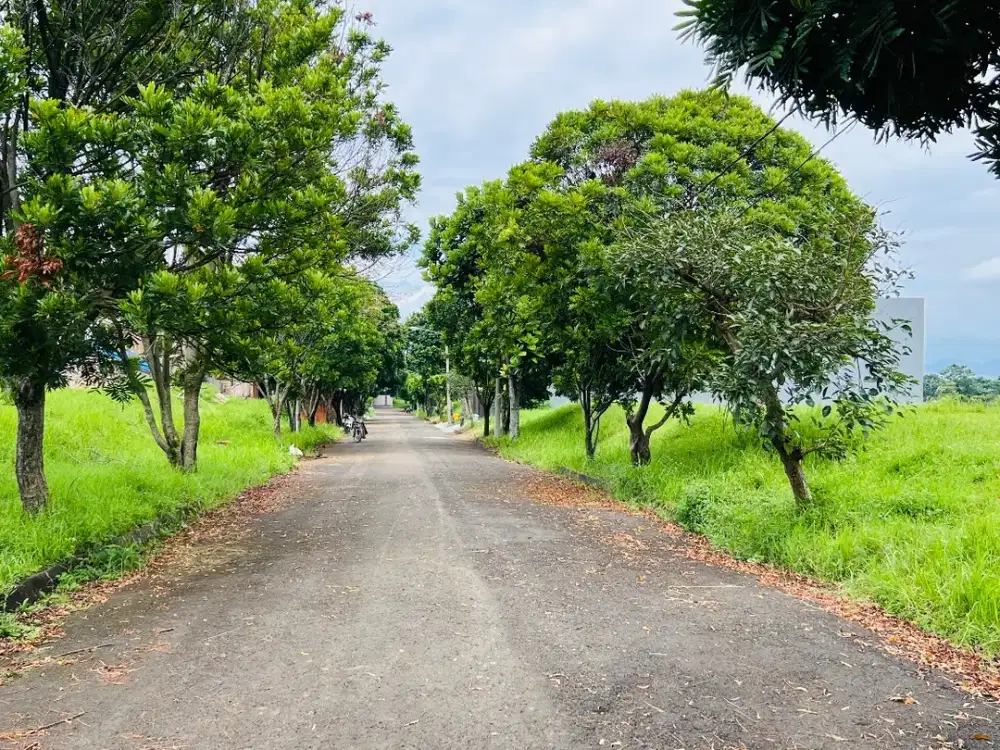 CUMAN ORANG PUNYA UANG yang bisa beli tanah ini, Lokasi Setiabudi