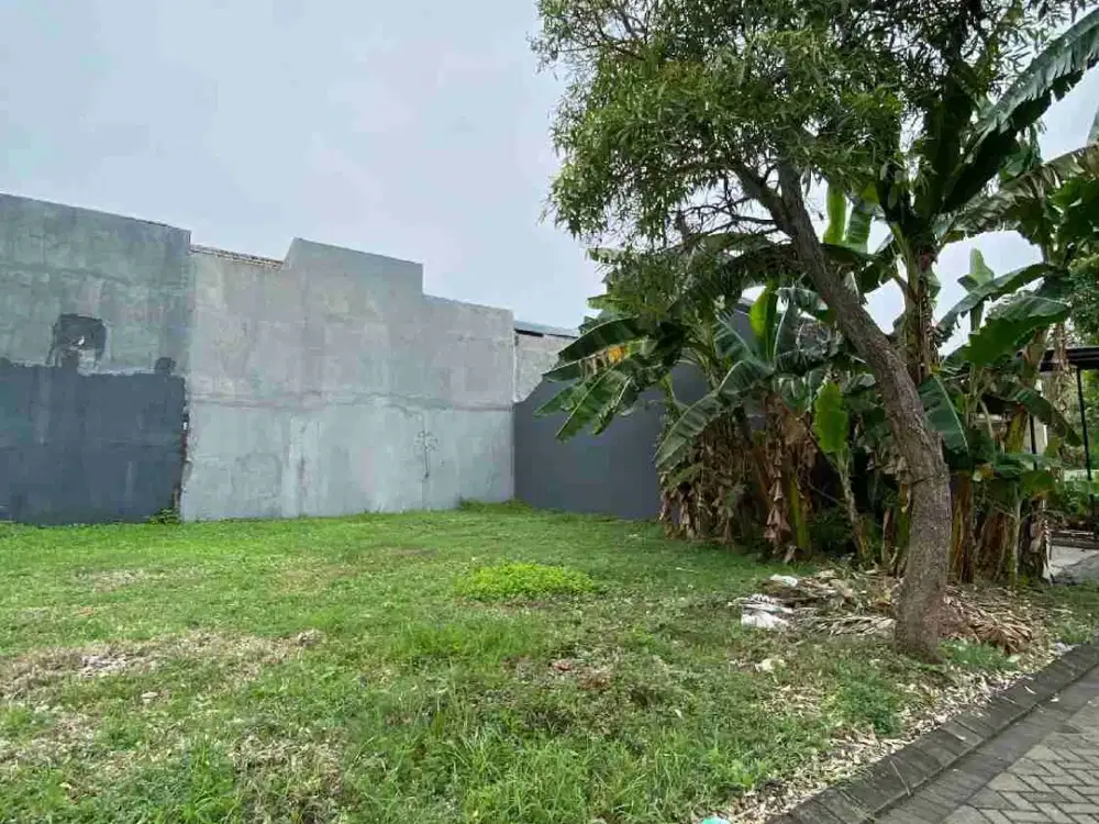 Termurah Kavling Citraland Bukit Palma Lebar 10