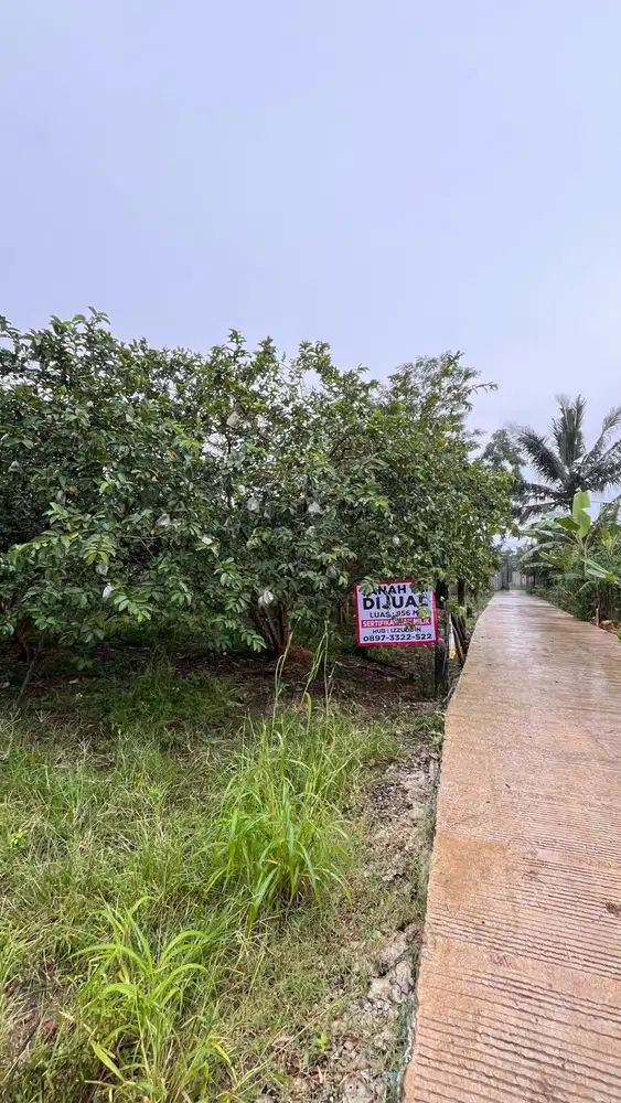 TANAH DIJUAL - SHM 956 sqm