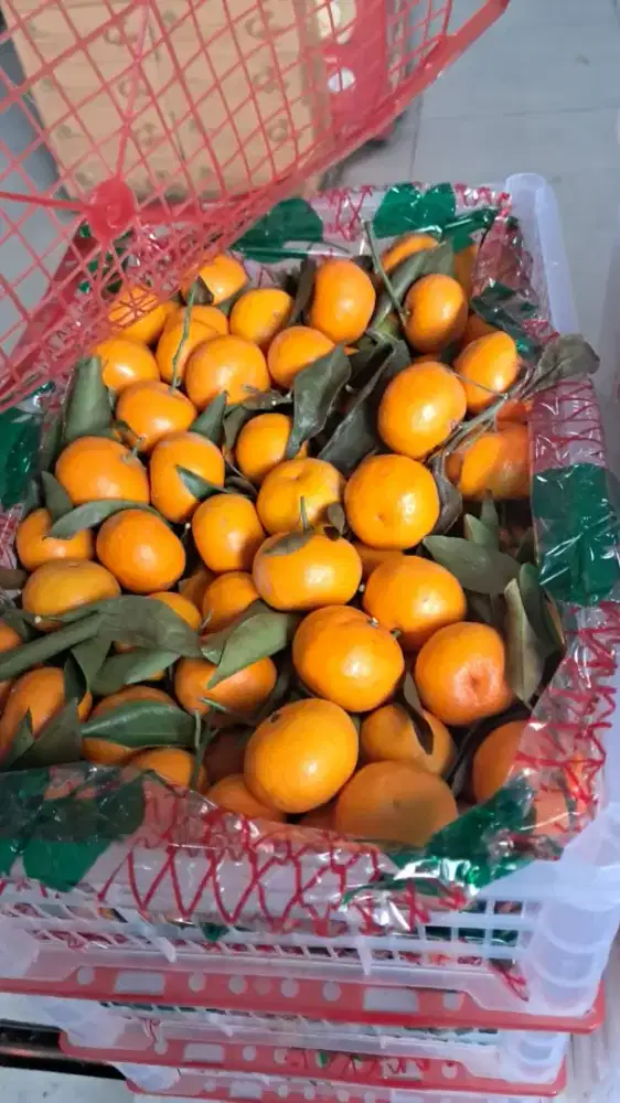 Karyawati Toko Retail ( Kasir Dan Pelayanan)