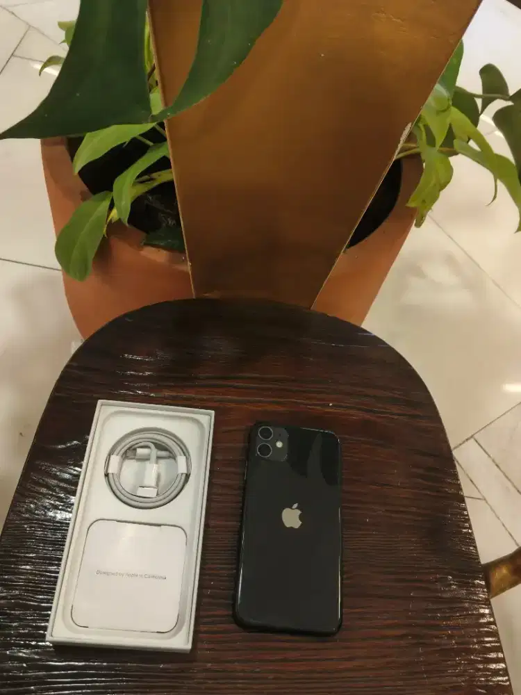 Iphone 11 256gb tetp tenang baru LTE