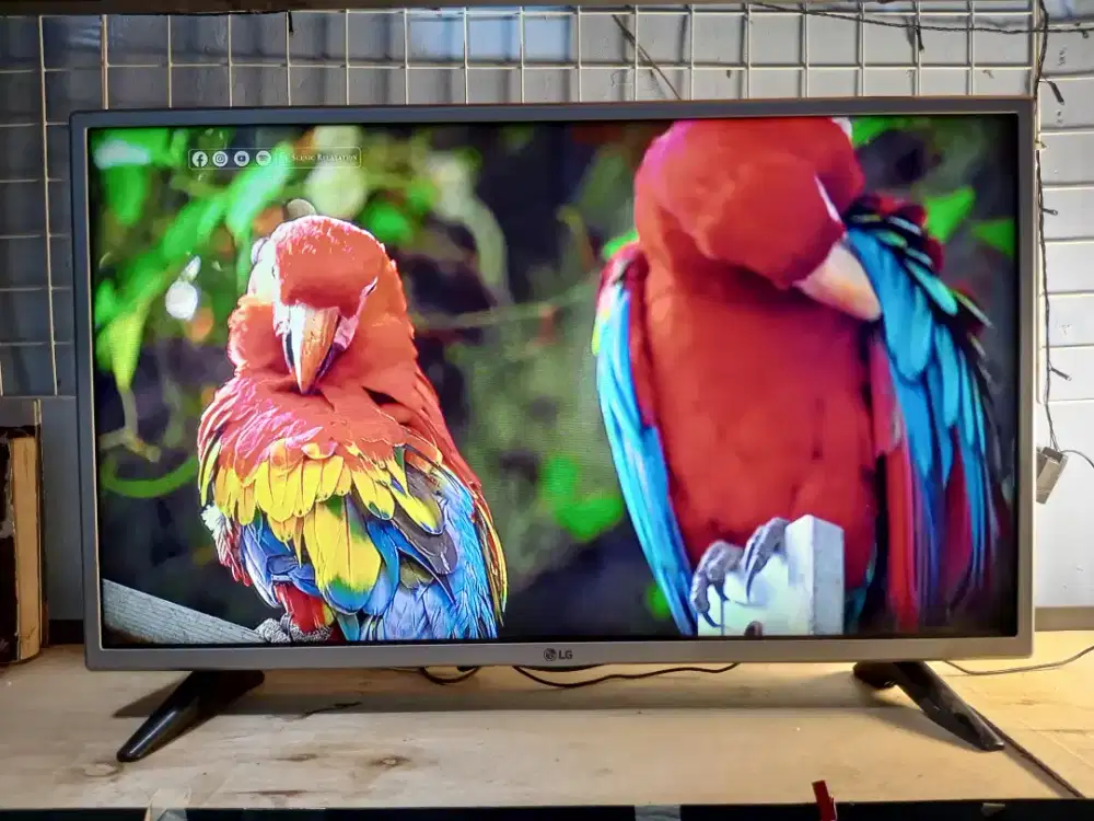 Tv LED LG 32 inc second berkualitas
