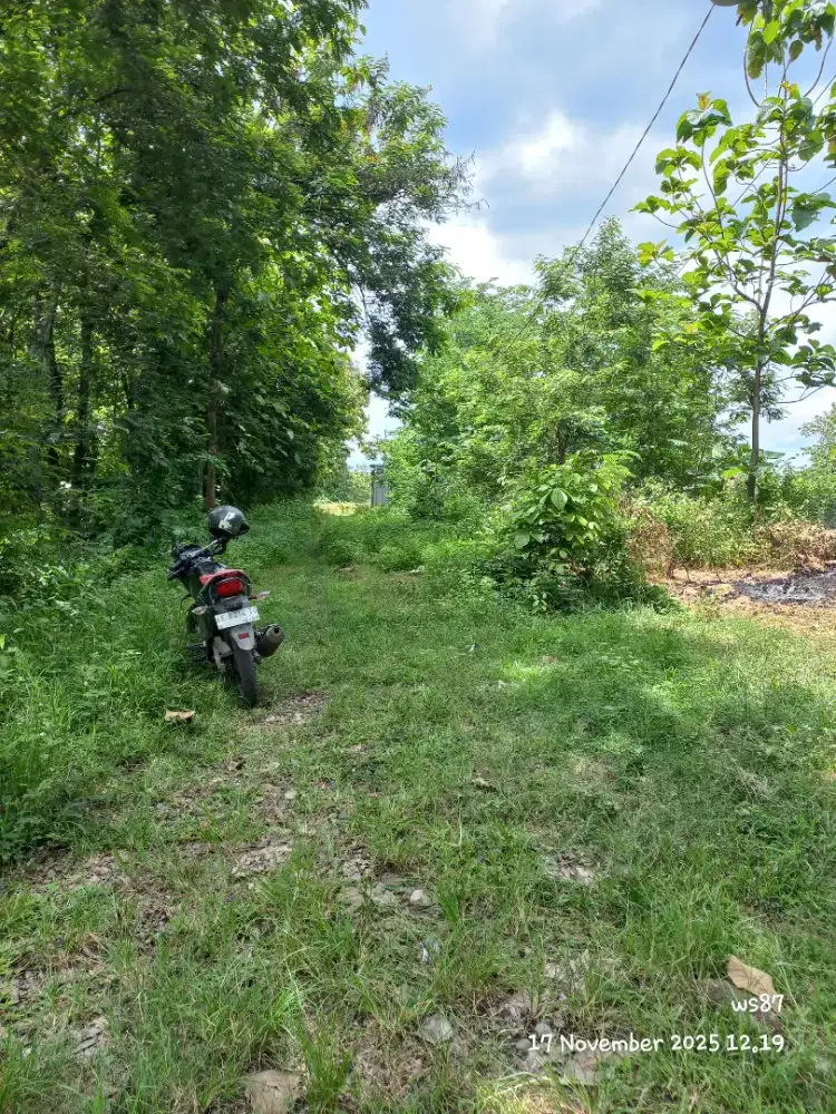 Jual tanah siap bangun tanpa urug free balik nama