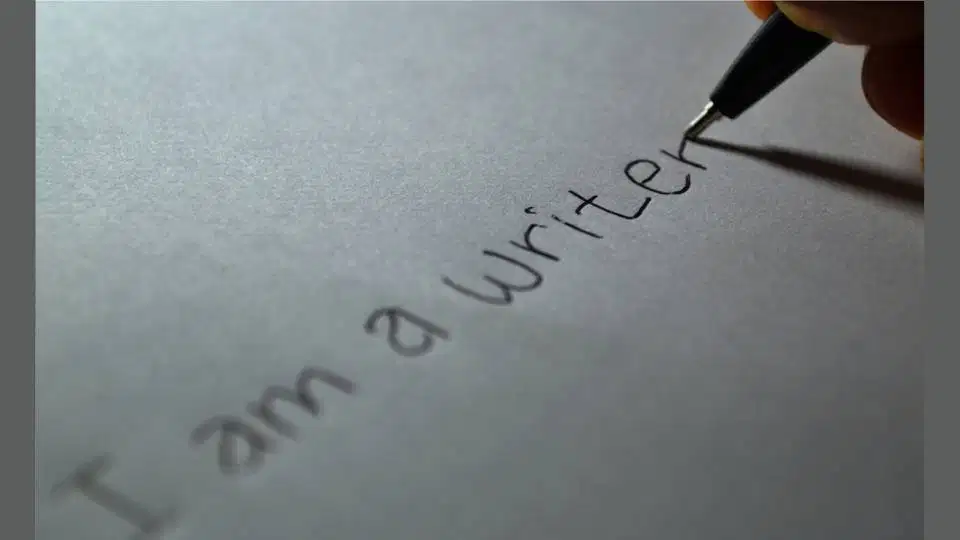 Backlink Content Placement Penulisan Artikel SEO