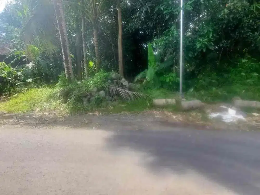 Dijual Tanah SHM Pekarangan di Seyegan