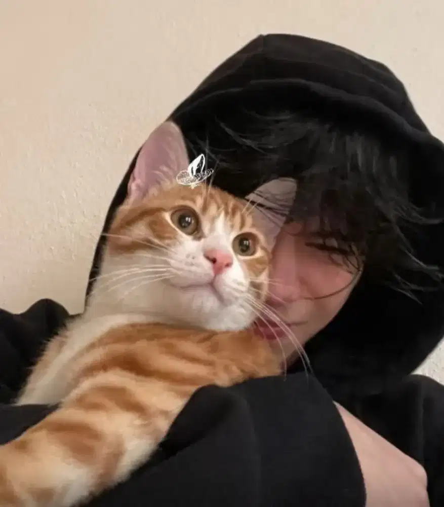 cari pekerjaan apa saja