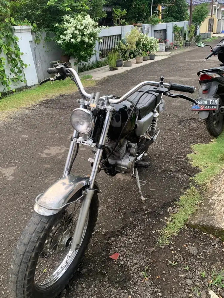 british style mp primus