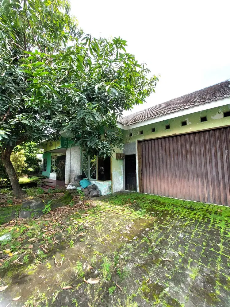 Rumah Halaman Luas di Griya Permata Hijau