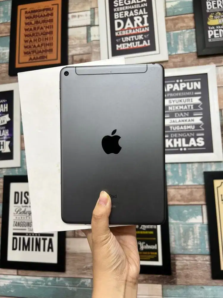 Ipad mini 5 256Gb Ex Ibox Fullset ori