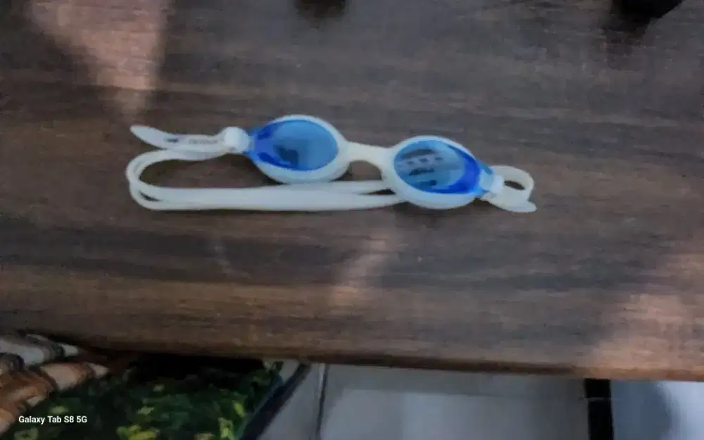 Kacamata Renang Speedo