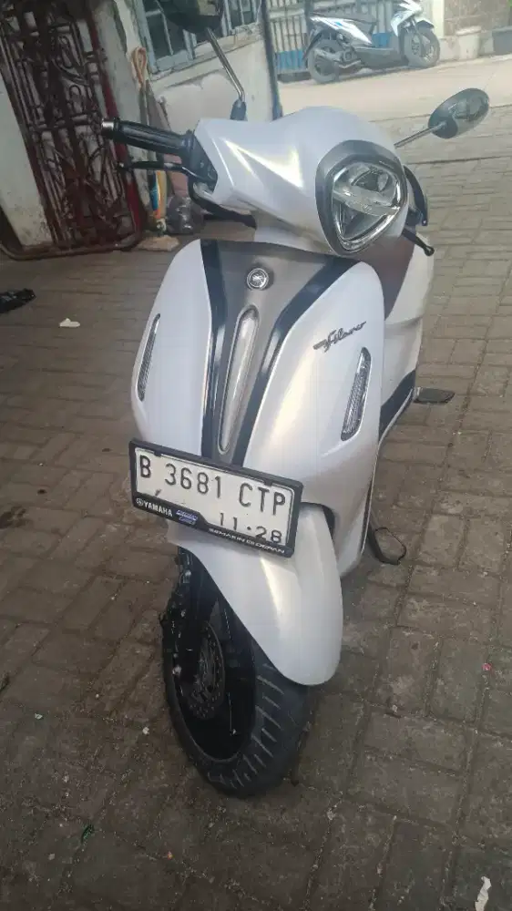 Grandfilano lux 2023