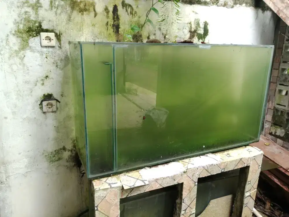 Aquarium kaca tebal 1cm