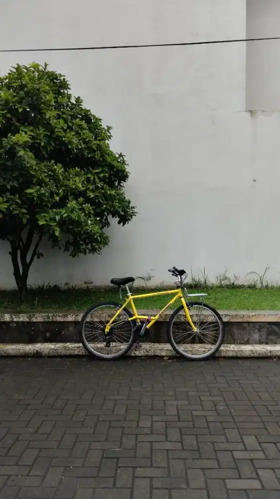 Jual Sepeda Elevated