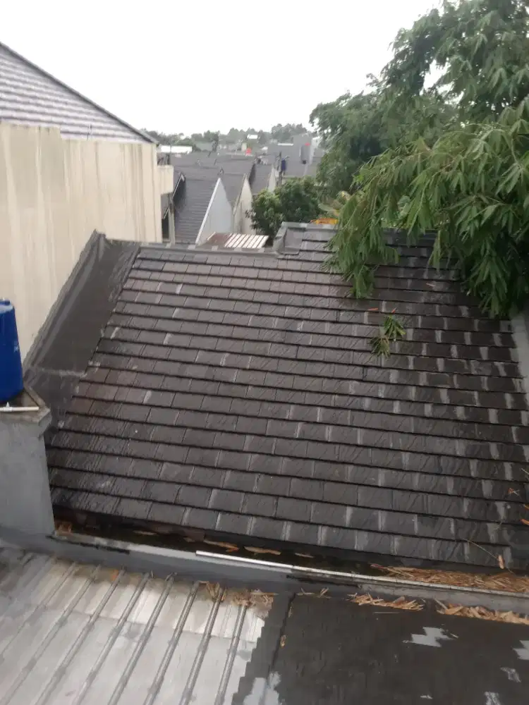 TukanG renovasi atap rmh bocor