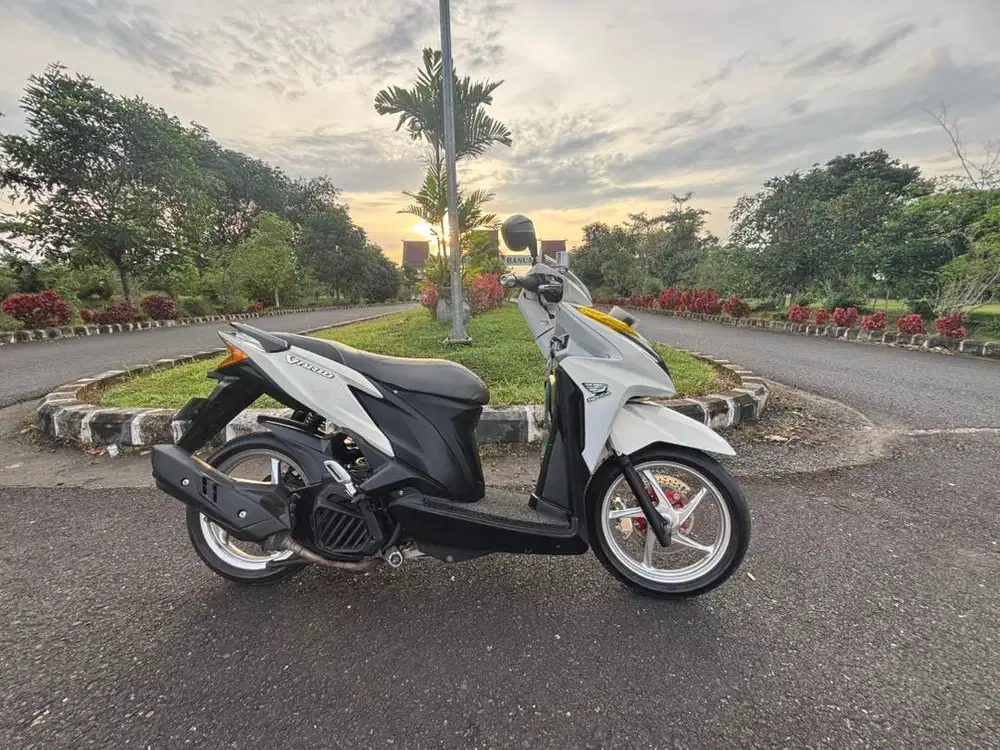 Vario OLD / Kzr 2015