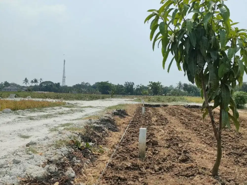 Dijual Murah Tanah Kavling dekat Harapan Indah Bekasi