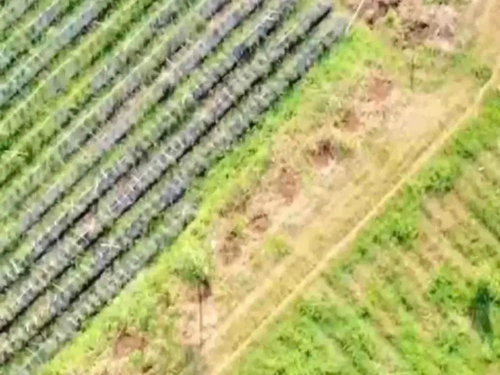 Dijual lahan kebun di Cimahi Bandung