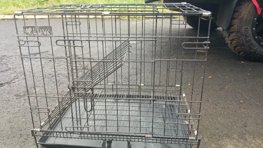 Kandang Kucing Bekas